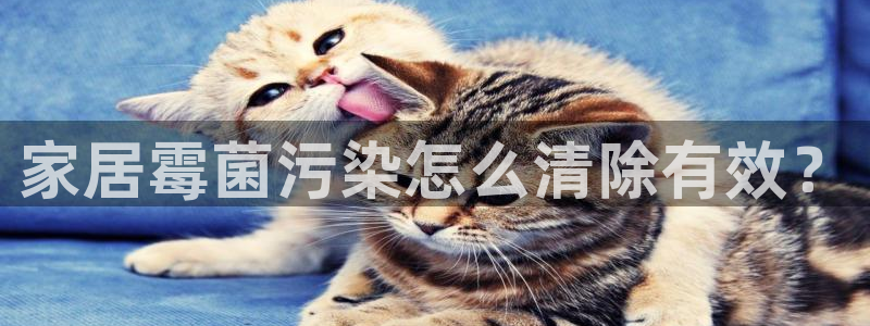 ug环球360官网