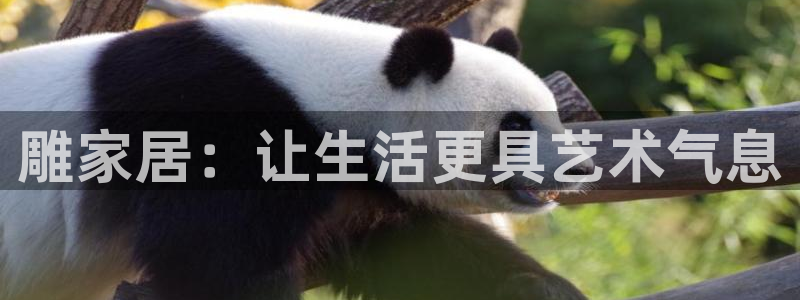 ug环球会员充值