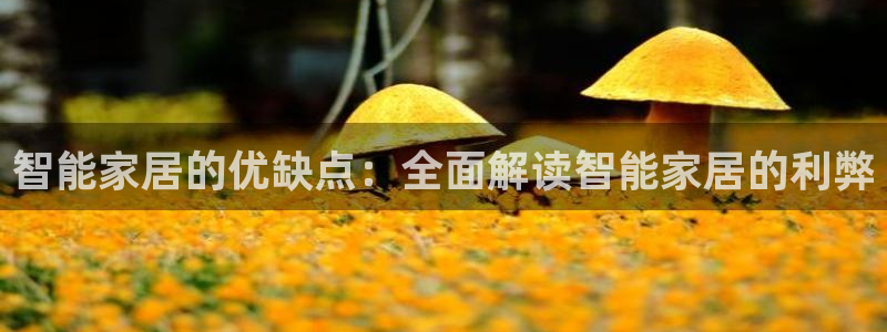 UG环球国际在线