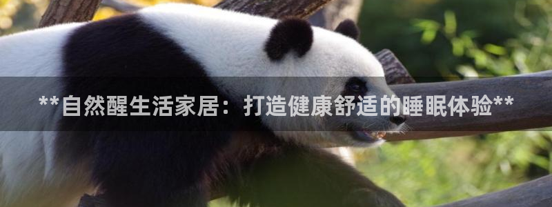 ug环球会员手机版下载
