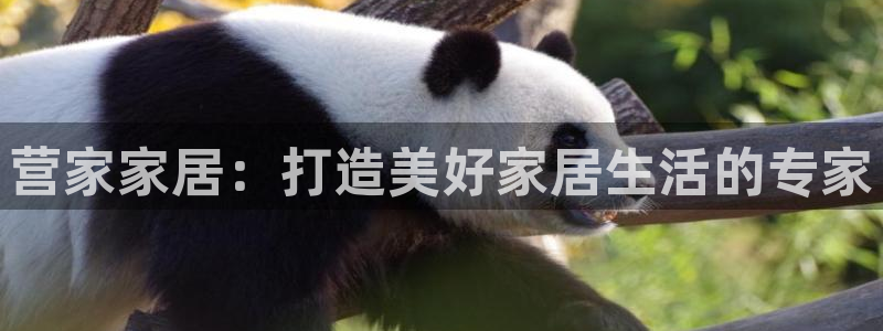 ug环球会员登陆