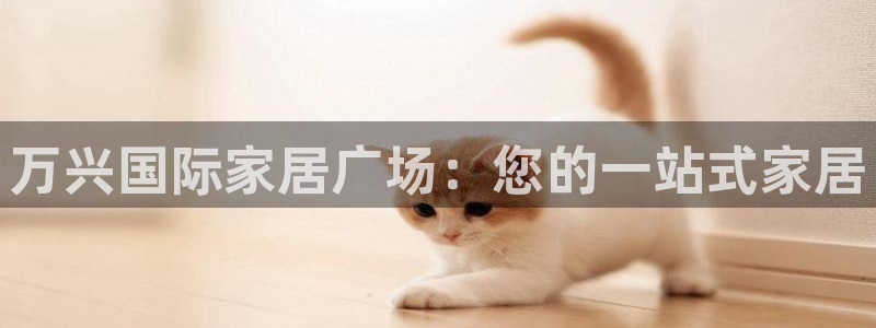 ug环球国际买分