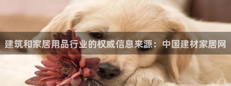 ug环球注册会员