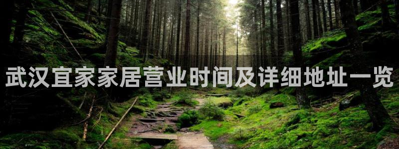 ug环球国际买分