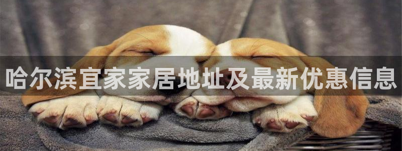 ug环球正网一比一
