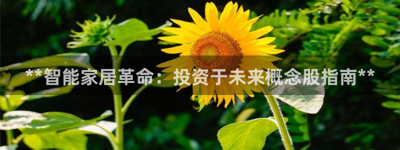 ug环球代理加盟