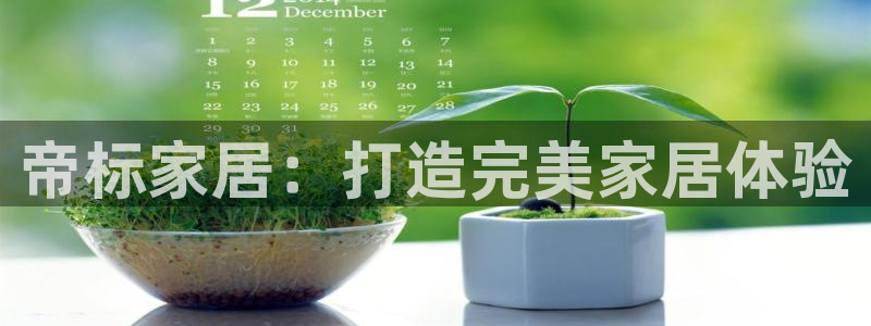 ug环球会员手机版下载官网