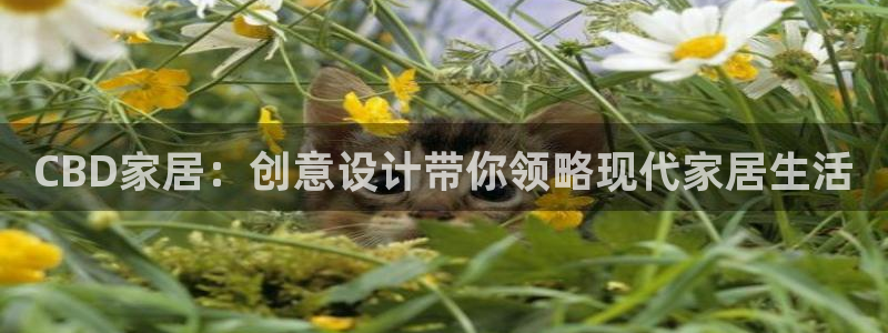 ug环球官网