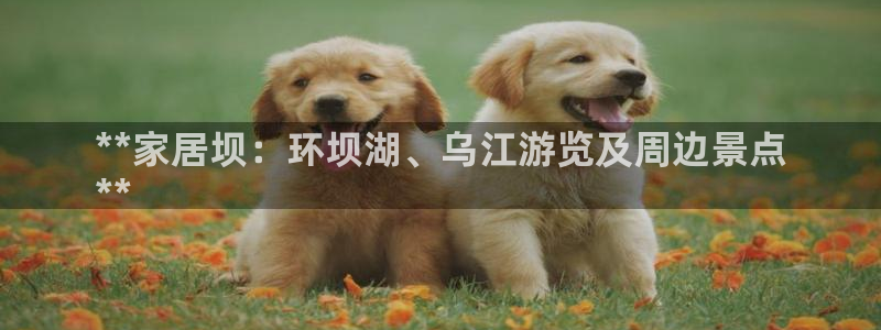 UG环球代理