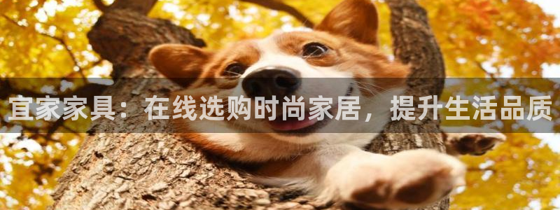 ug环球正网买分