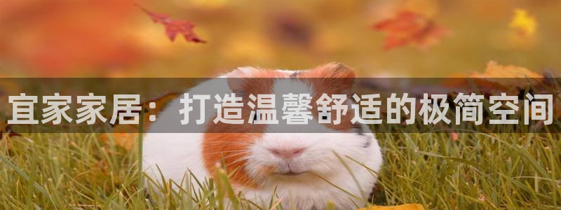 ug环球去唯xkk908