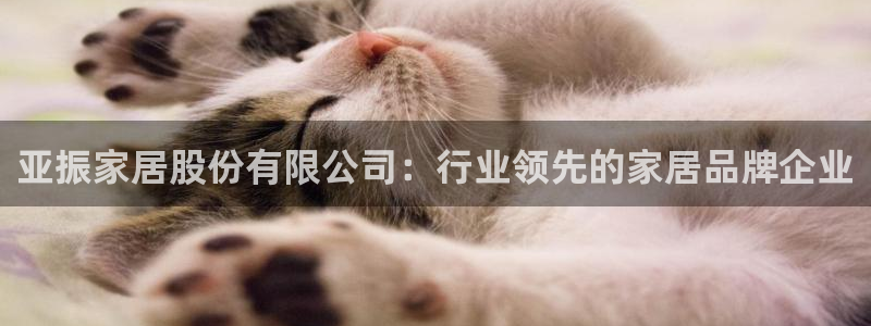 ug环球官网代理